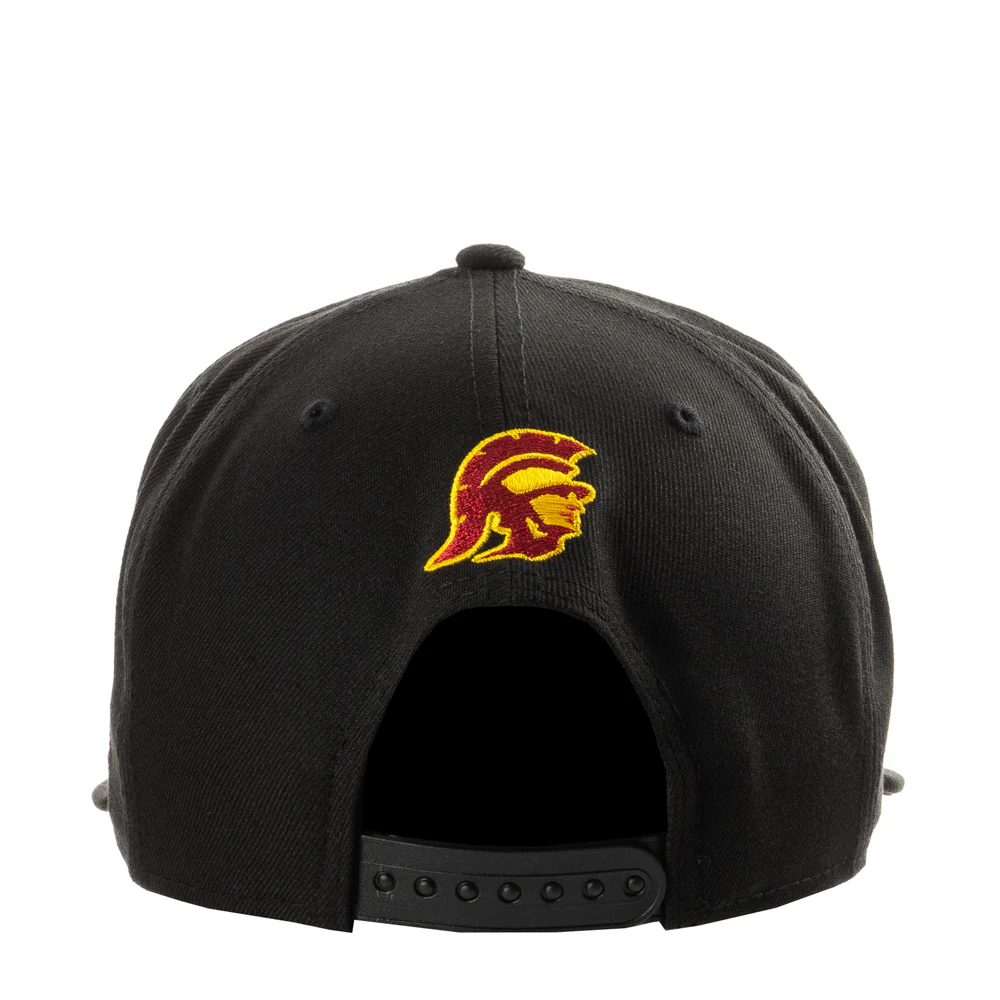 USC 950 - Image 4